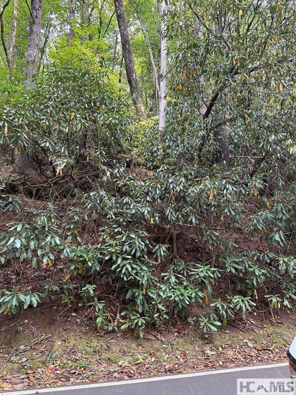 Sapphire, North Carolina 28774, United States, ,Land,Active,111386