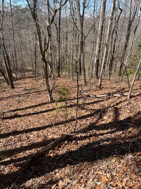 Photo of Lot 40 Timberland Trail, Franklin, NC 28734 (MLS # 26040144)