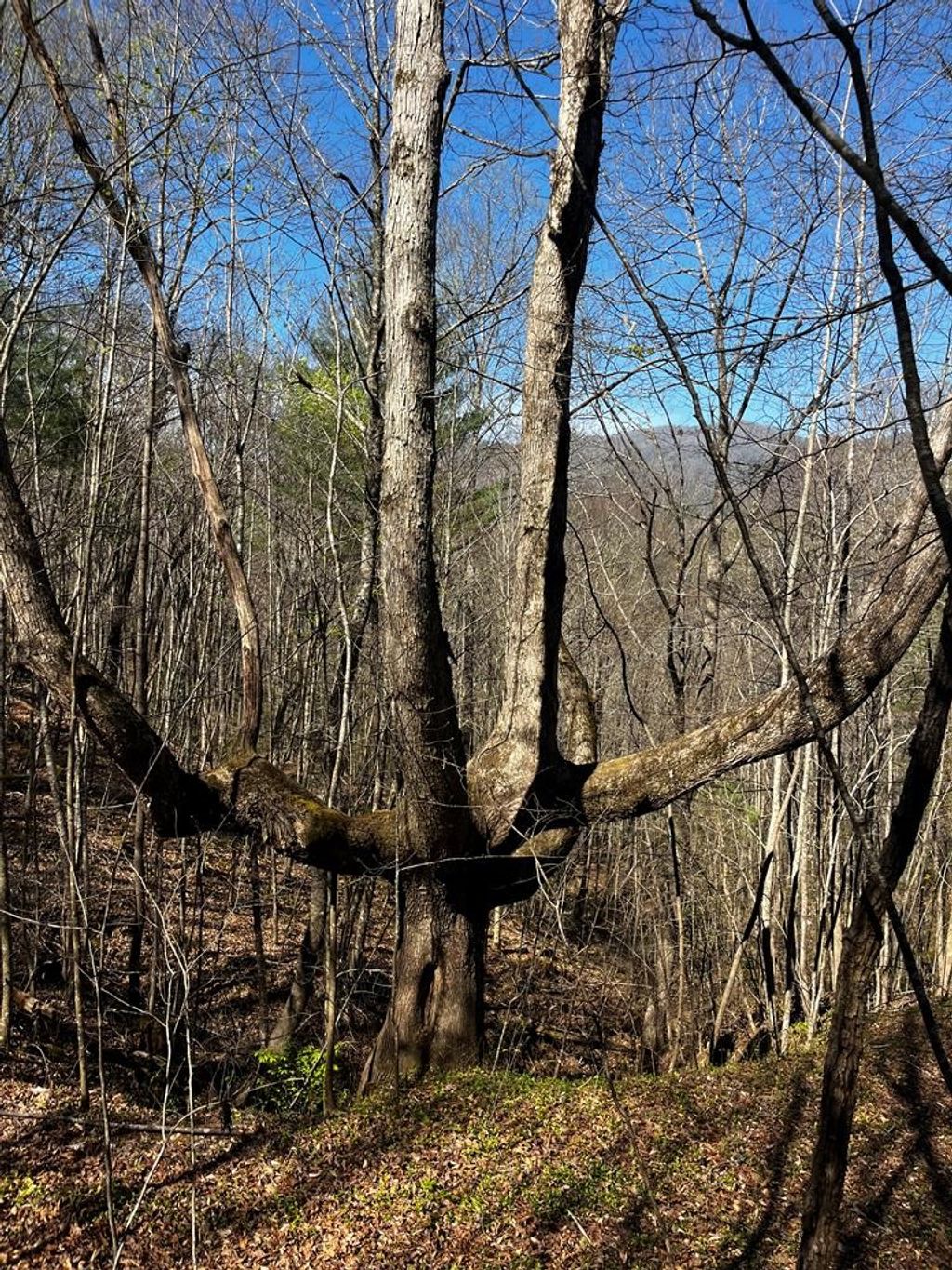 Photo of 00 Leon Barron Rd, Sylva, NC 28779 (MLS # 26047780)