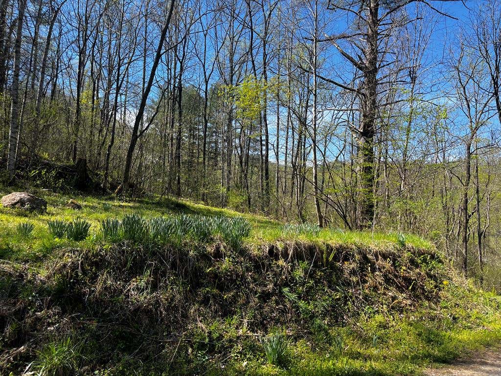 Photo of 00 Leon Barron Rd, Sylva, NC 28779 (MLS # 26047780)