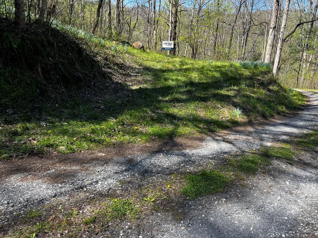 Photo of 00 Leon Barron Rd, Sylva, NC 28779 (MLS # 26047780)