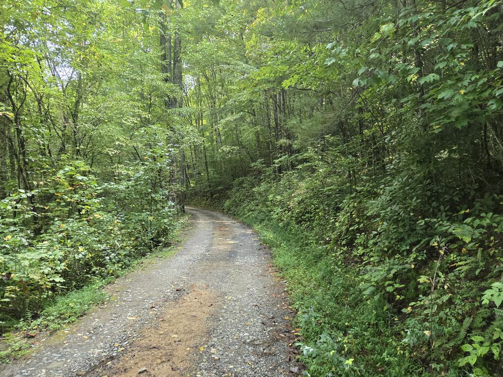 275 Kirkland Branch Road