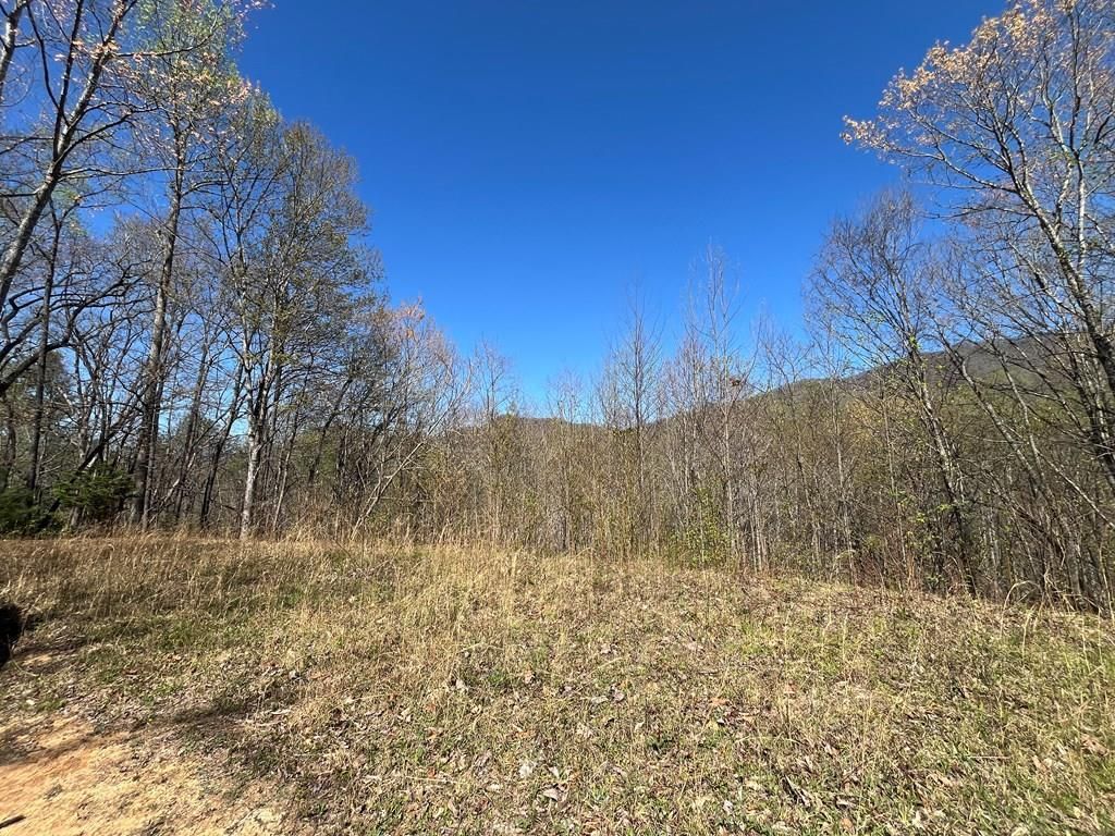 Photo of 359 Loon Lane, Whittier, NC 28789 (MLS # 26044228)