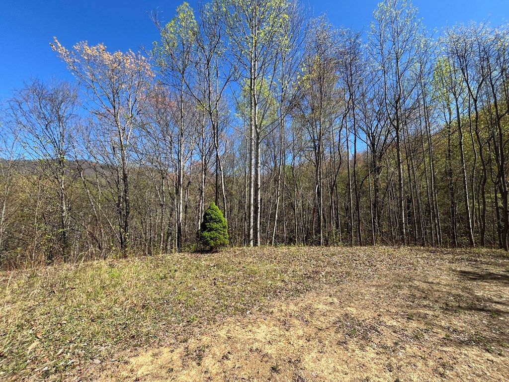 Photo of 359 Loon Lane, Whittier, NC 28789 (MLS # 26044228)