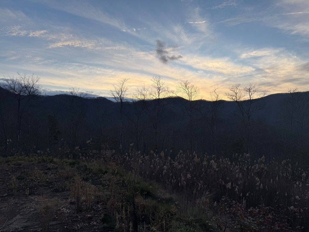 Photo of 701 Cardinal Bluff Drive, Whittier, NC 28789 (MLS # 26042768)