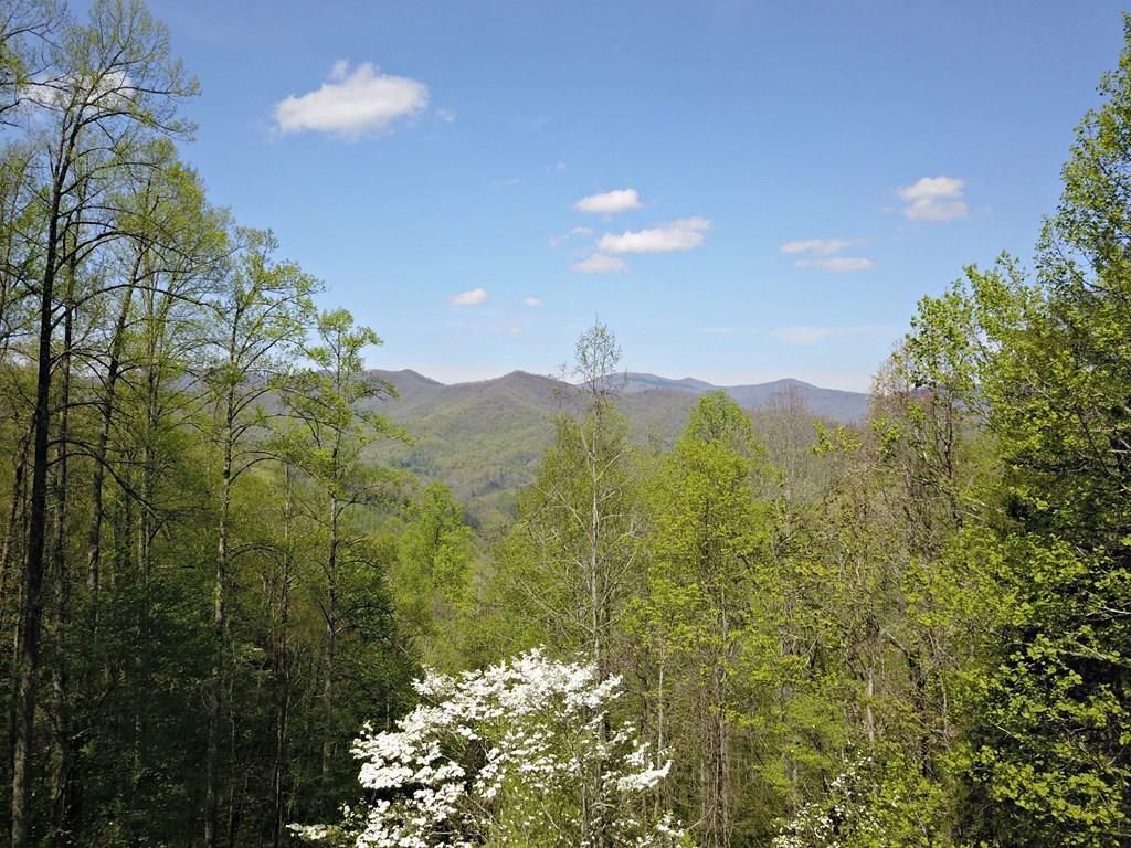 Photo of 528 Early Dietz, Sylva, NC 28779 (MLS # 26042330)