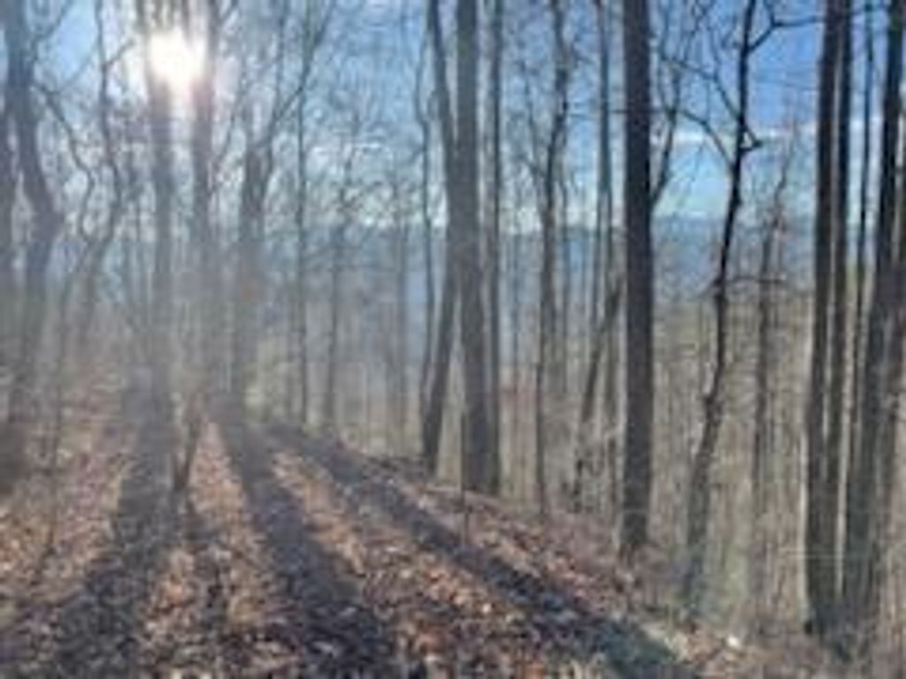Photo of 528 Early Dietz, Sylva, NC 28779 (MLS # 26042330)