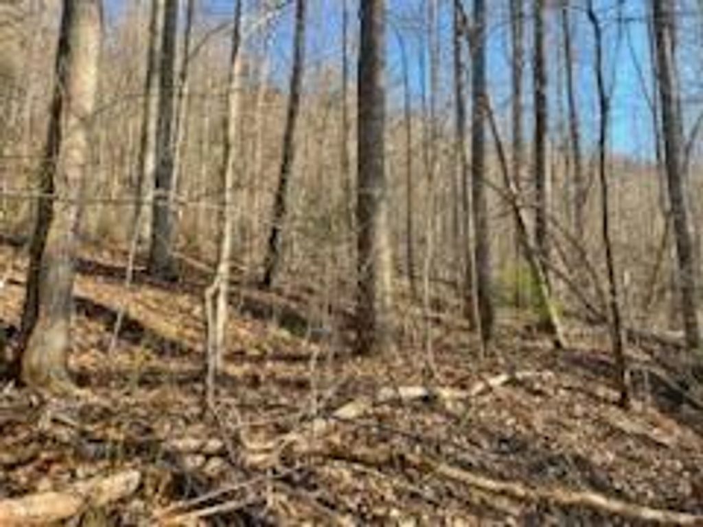 Photo of 528 Early Dietz, Sylva, NC 28779 (MLS # 26042330)