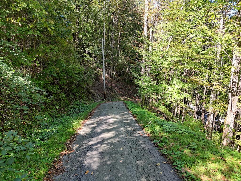 Photo of Lot 16 Off Buckey Haven Rd, Maggie Valley, NC 28751 (MLS # 26048824)