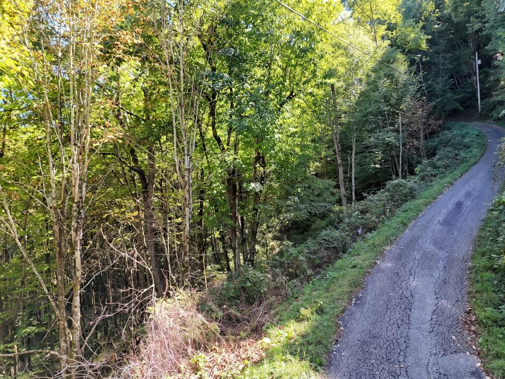 Lot 16 Off Buckey Haven Rd