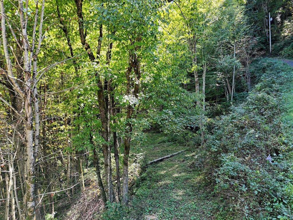 Photo of Lot 16 Off Buckey Haven Rd, Maggie Valley, NC 28751 (MLS # 26048824)