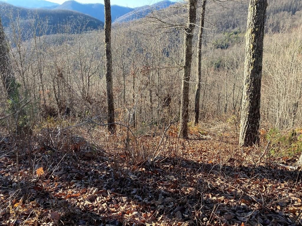 Photo of Lot 61 Hickory Nut Trail, Sylva, NC 28779 (MLS # 26041716)