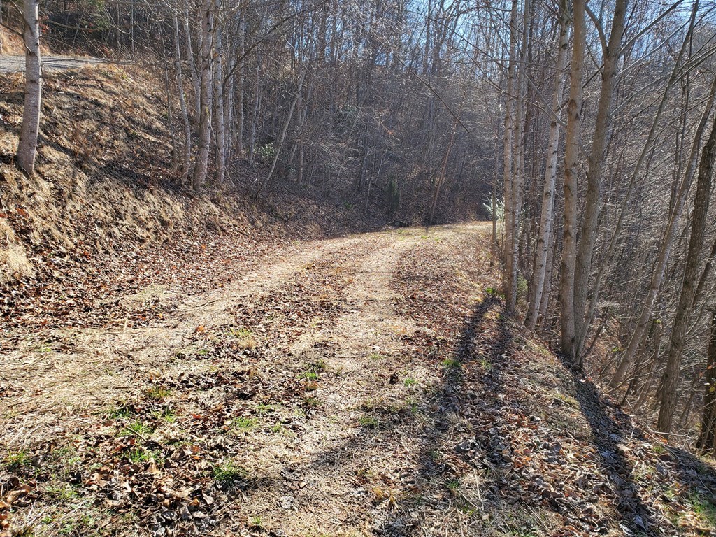 LOT 22 Willa Rd