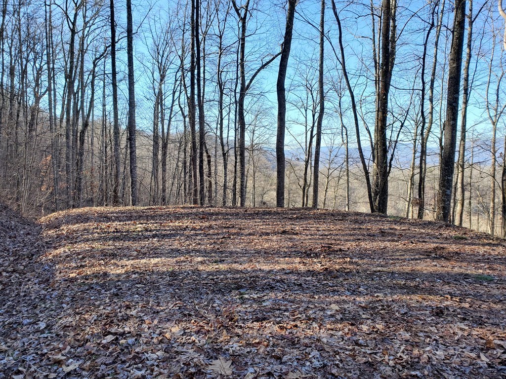 LOT 22 Willa Rd