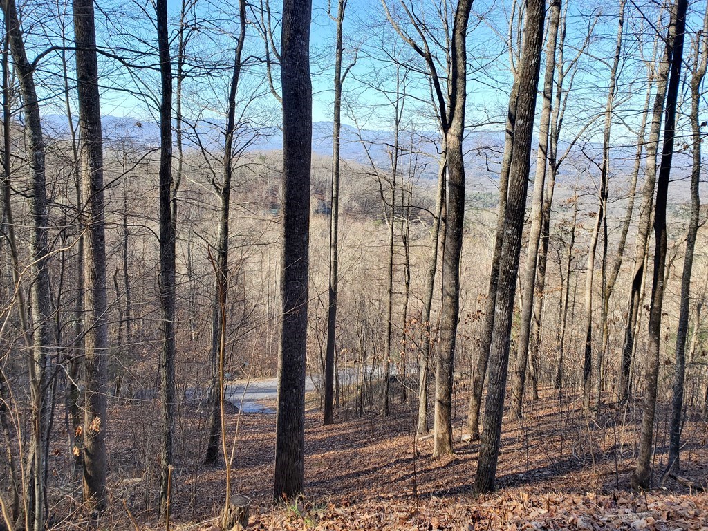 LOT 22 Willa Rd