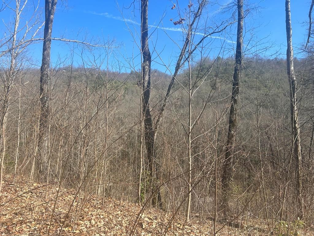 Photo of Lot 94 Towalgia Drive, Bryson City, NC 28713 (MLS # 26040836)