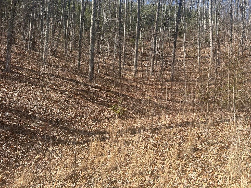 Photo of Lot 94 Towalgia Drive, Bryson City, NC 28713 (MLS # 26040836)