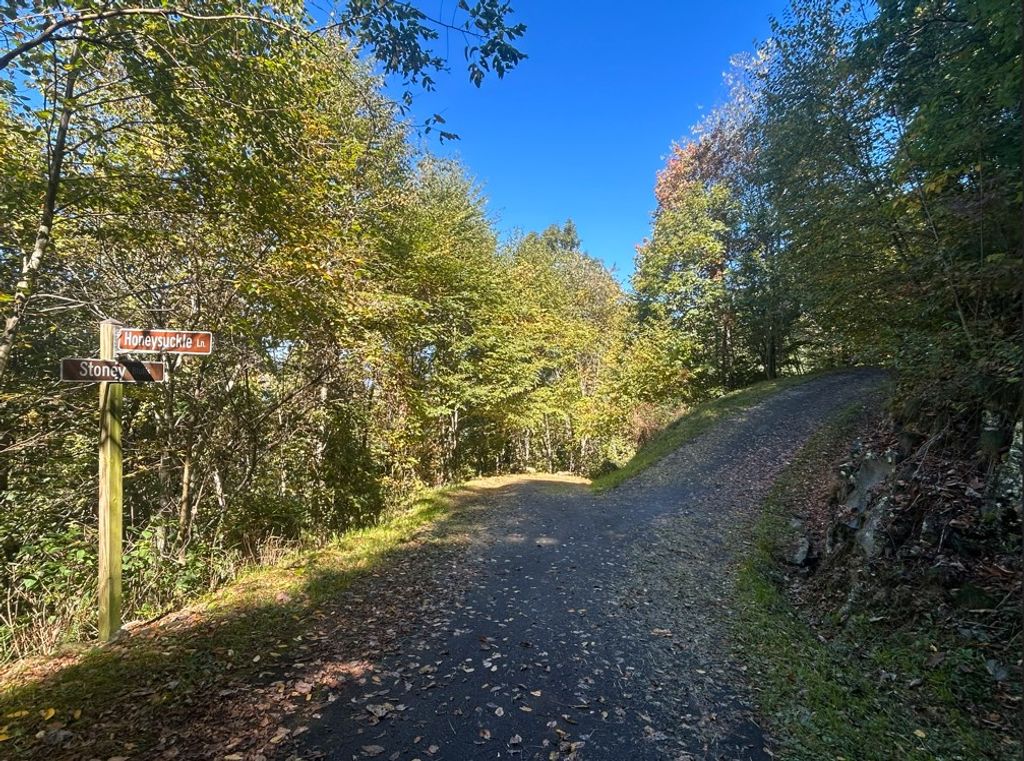 Photo of 25 25 Stoney Bluff, Bryson City, NC 28803 (MLS # 26042831)