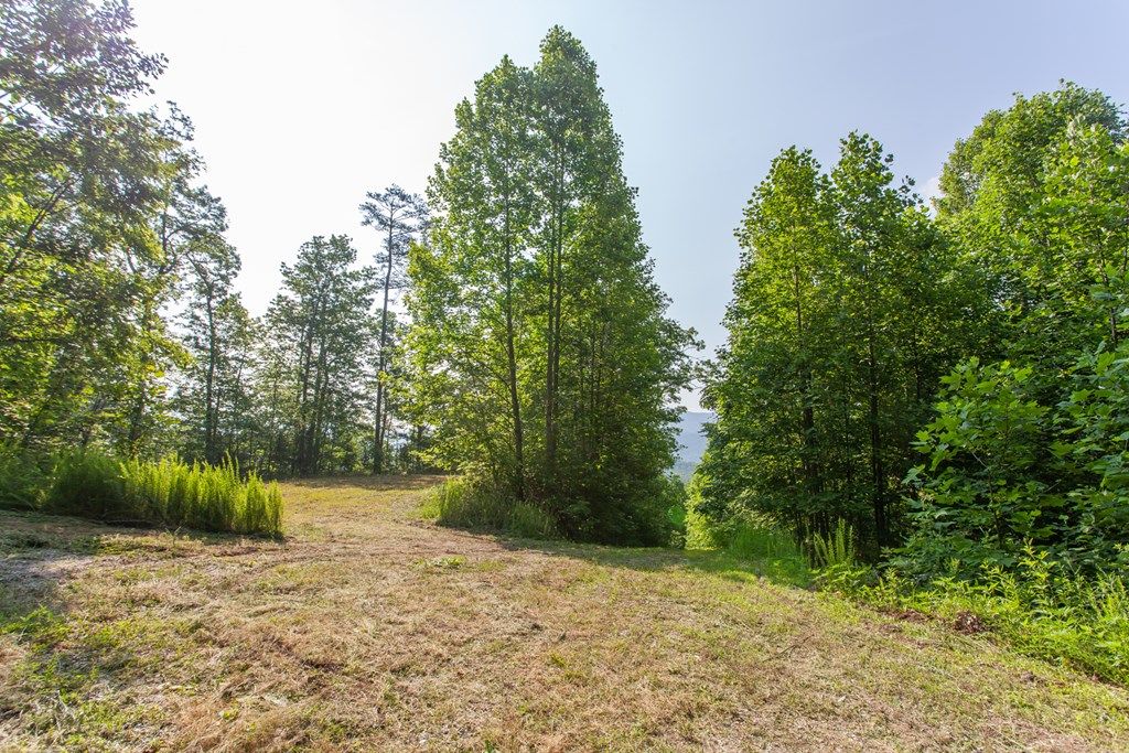 Photo of 1200 Tobacco Branch Road, Almond, NC 28702 (MLS # 26041289)