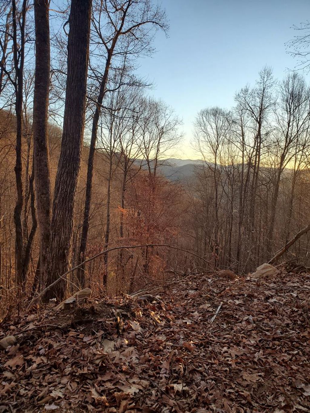 Photo of Lot 21 Falls View Drive, Bryson City, NC 28713 (MLS # 26042475)