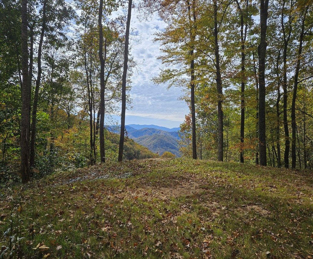 Photo of Lot 21 Falls View Drive, Bryson City, NC 28713 (MLS # 26042475)