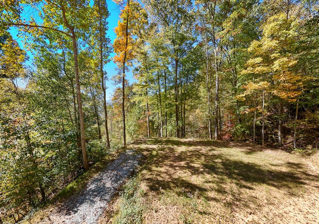 Photo of Lot 21 Falls View Drive, Bryson City, NC 28713 (MLS # 26042475)