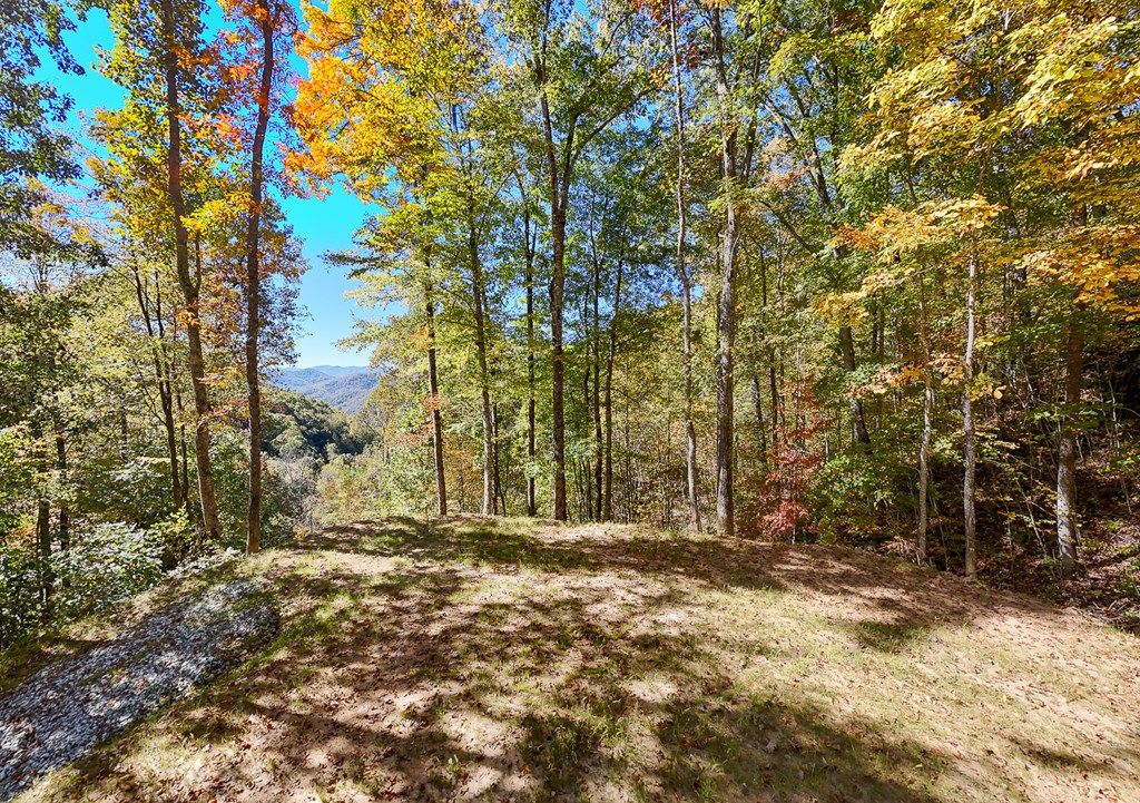 Photo of Lot 21 Falls View Drive, Bryson City, NC 28713 (MLS # 26042475)