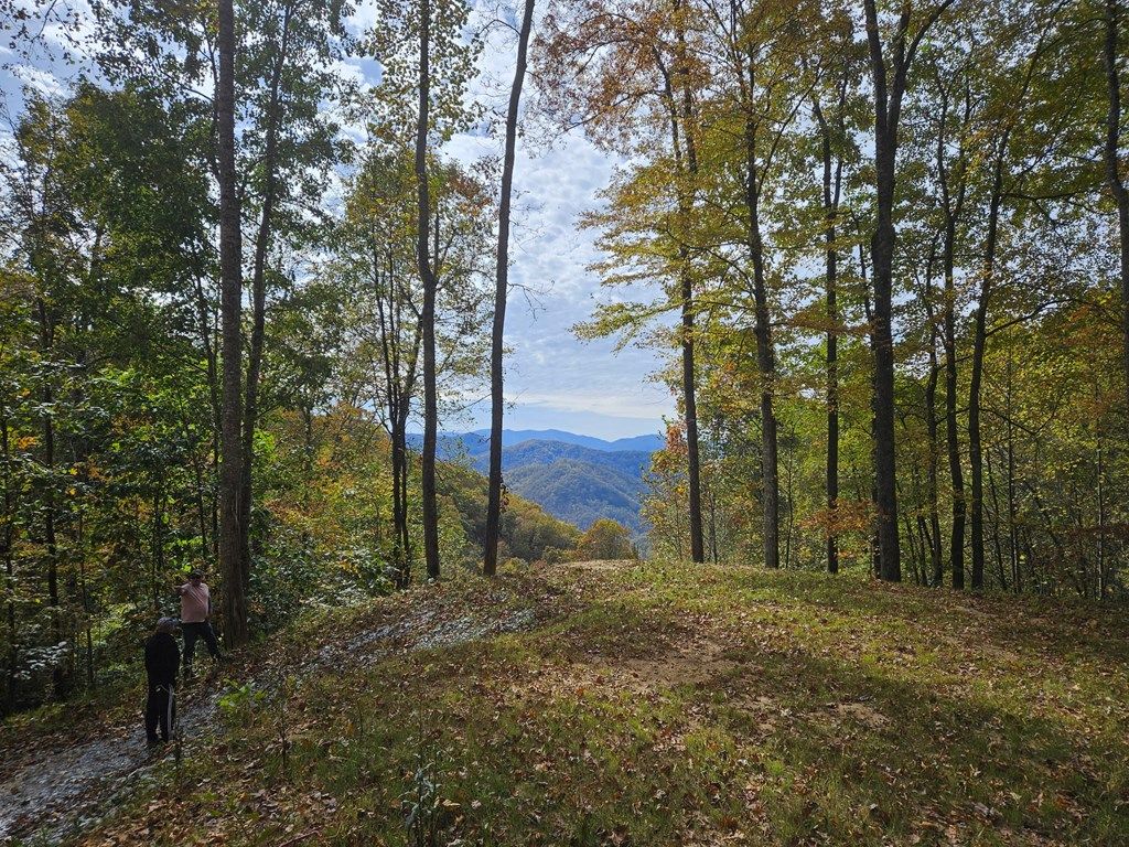 Photo of Lot 21 Falls View Drive, Bryson City, NC 28713 (MLS # 26042475)