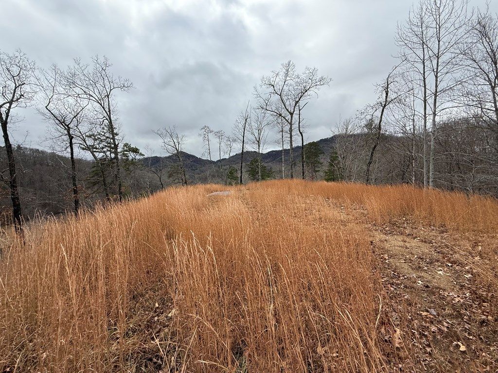 Photo of 50-3 Cherokee Ridge, Bryson City, NC 28713 (MLS # 26042810)