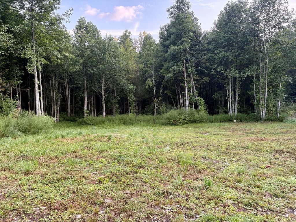 Photo of 0 Campbell Creek Road, Robbinsville (Graham), NC 28771 (MLS # 26042035)