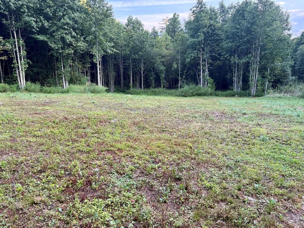 Photo of 0 Campbell Creek Road, Robbinsville (Graham), NC 28771 (MLS # 26042035)