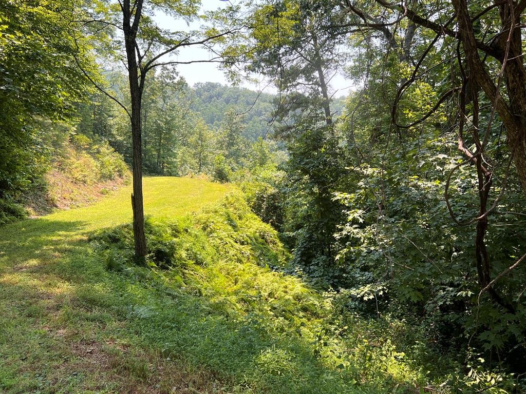 Lot 14 Fontana Ridge Rd