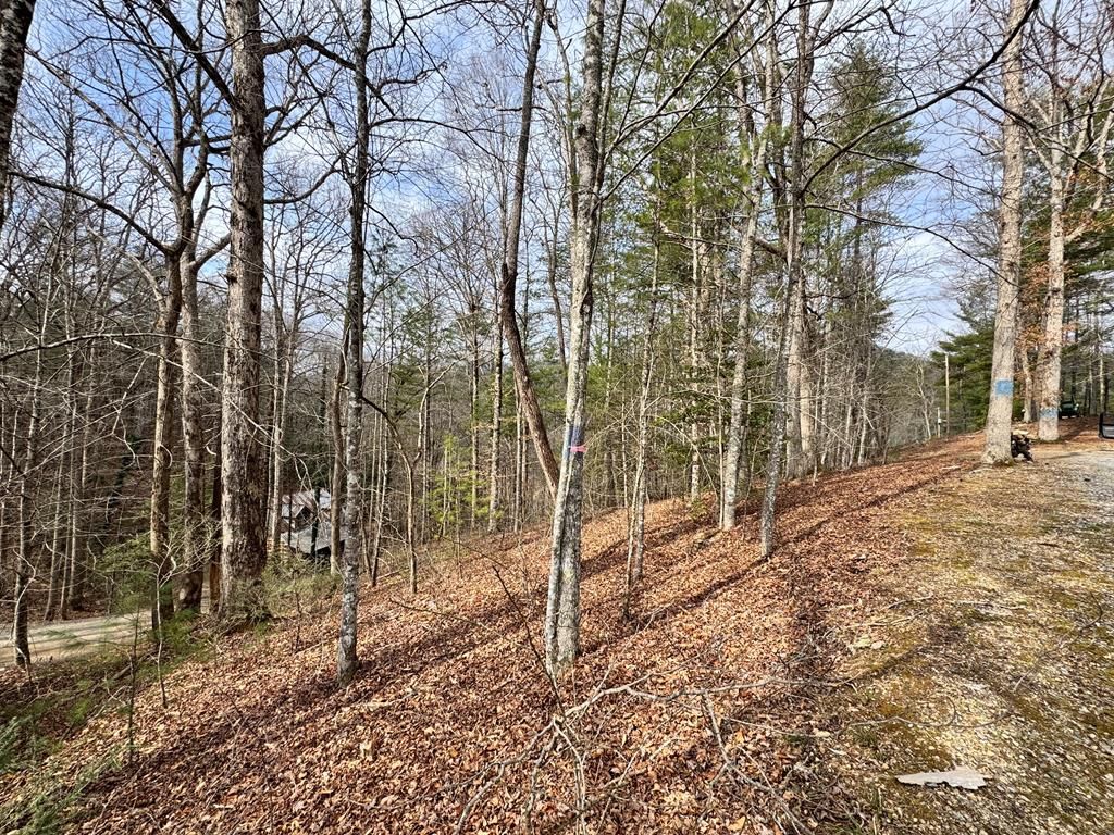 Photo of 0 Fontana Forest, Almond, NC 28702 (MLS # 26045479)