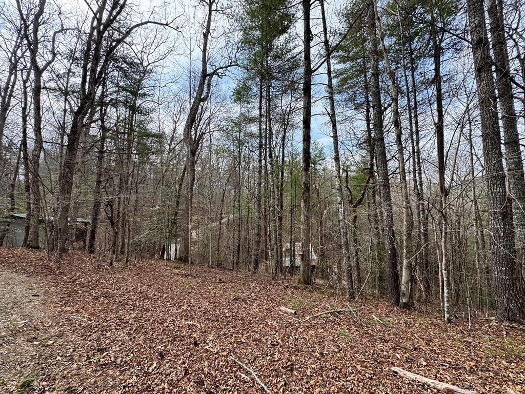 Photo of 0 Fontana Forest, Almond, NC 28702 (MLS # 26045479)