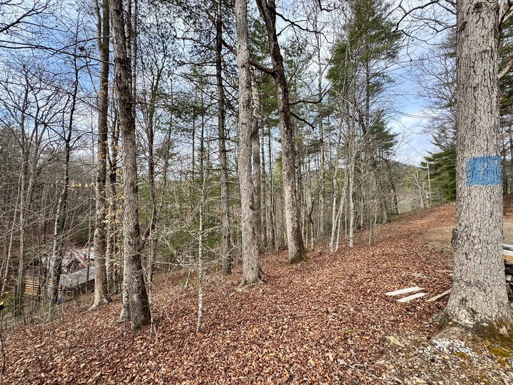 Photo of 0 Fontana Forest, Almond, NC 28702 (MLS # 26045479)
