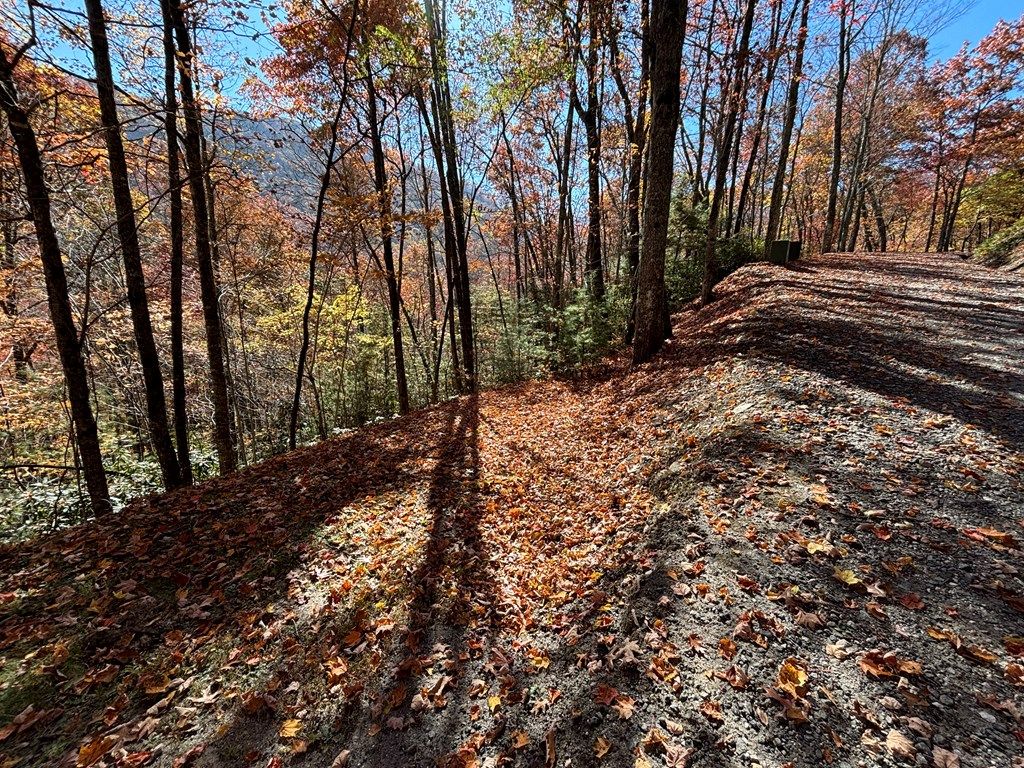 Photo of Lot 33 Coppermine Ridge, Whittier, NC 28789 (MLS # 26038185)