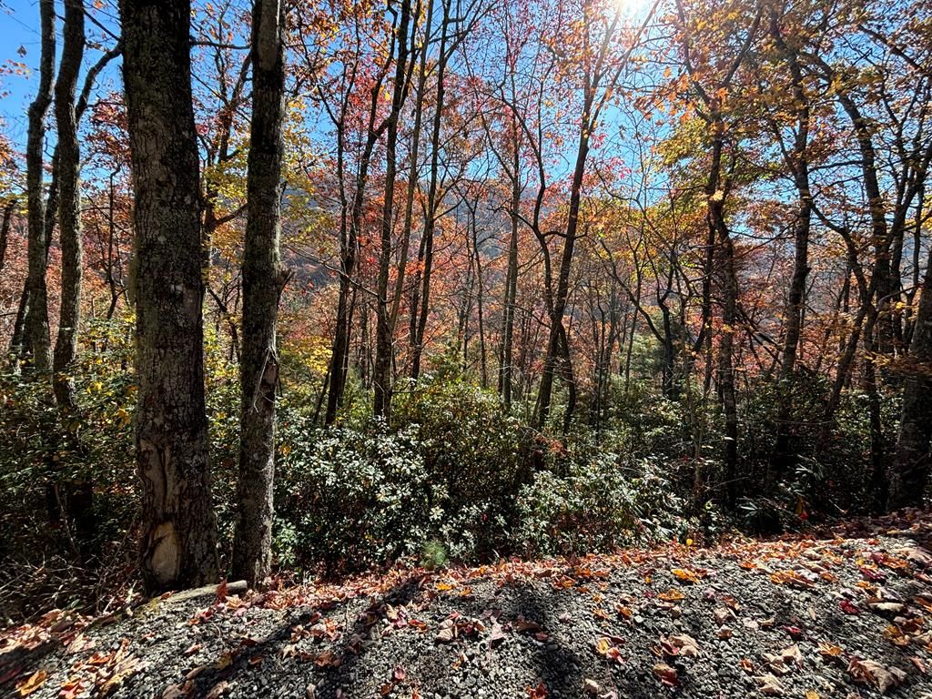 Photo of Lot 33 Coppermine Ridge, Whittier, NC 28789 (MLS # 26038185)