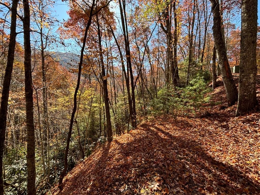 Photo of Lot 33 Coppermine Ridge, Whittier, NC 28789 (MLS # 26038185)