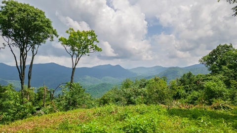 Photo of 1099 Whisper Mountain Rd, Franklin, NC 28734 (MLS # 26047872)