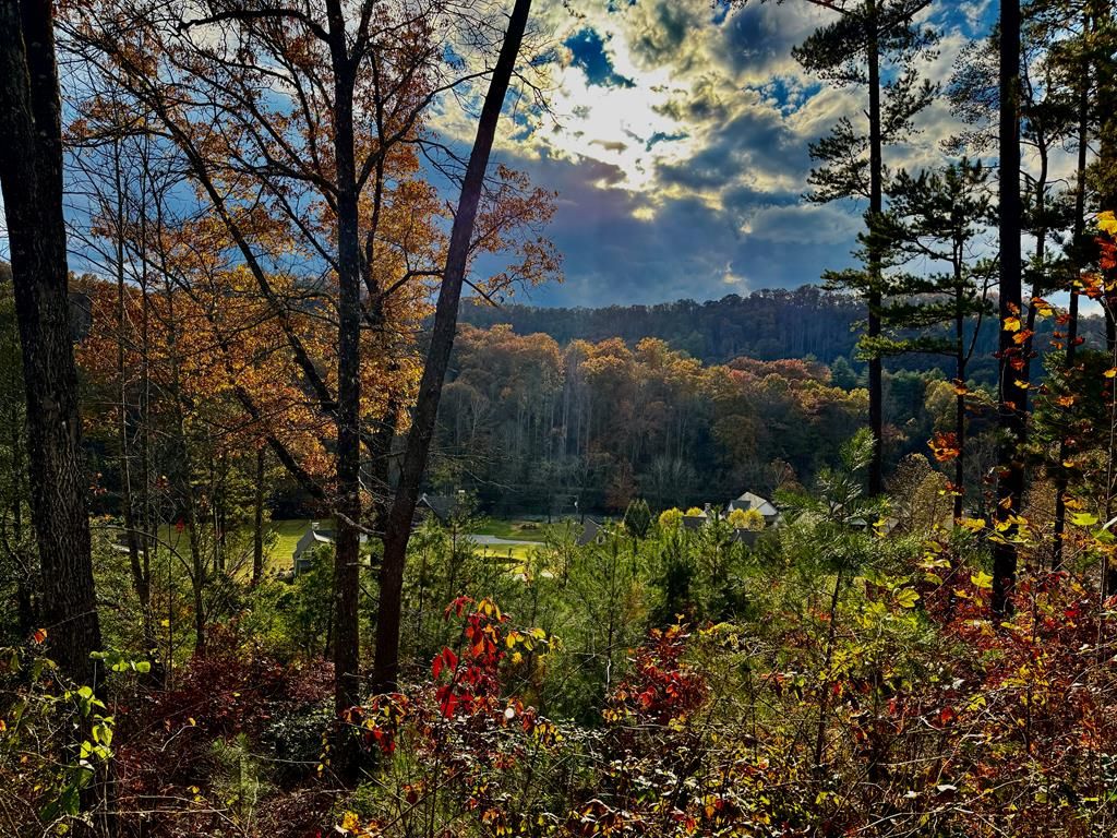 Photo of 0 Amberleaf Way, Cullowhee, NC 28723 (MLS # 26042566)