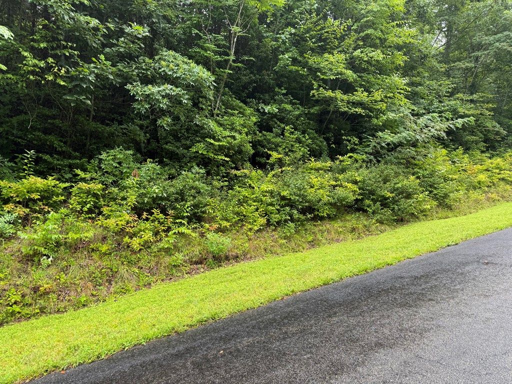Photo of Lot 6 Garnet Road, Sylva, NC 28779 (MLS # 26041741)
