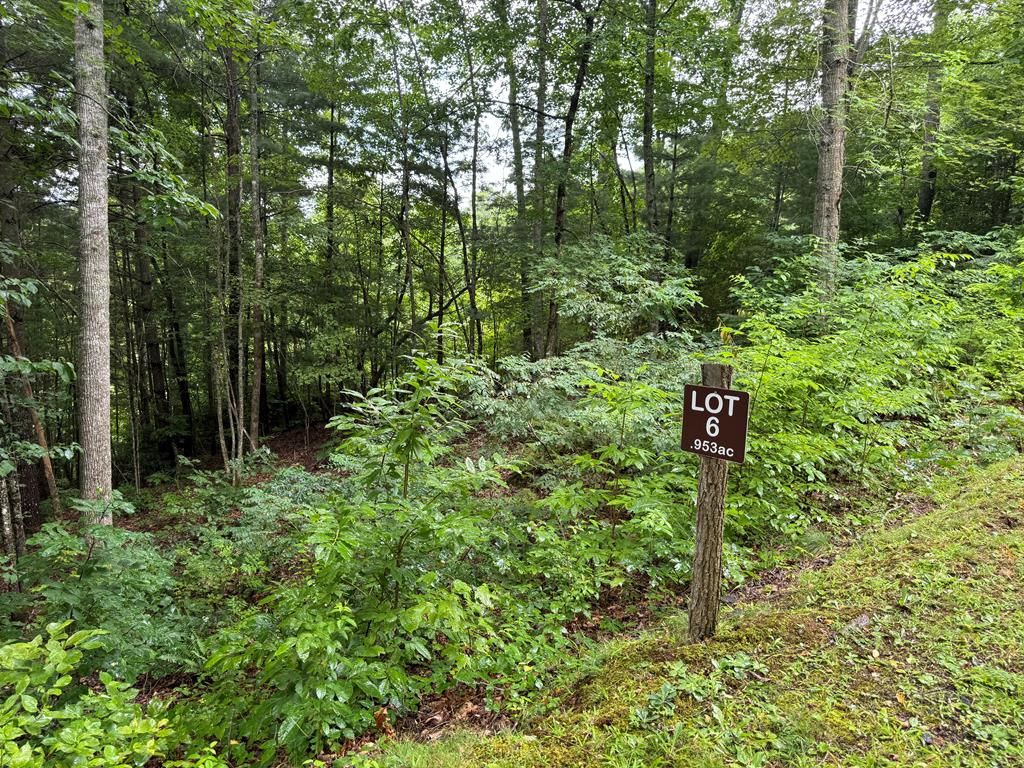 Photo of Lot 6 Garnet Road, Sylva, NC 28779 (MLS # 26041741)
