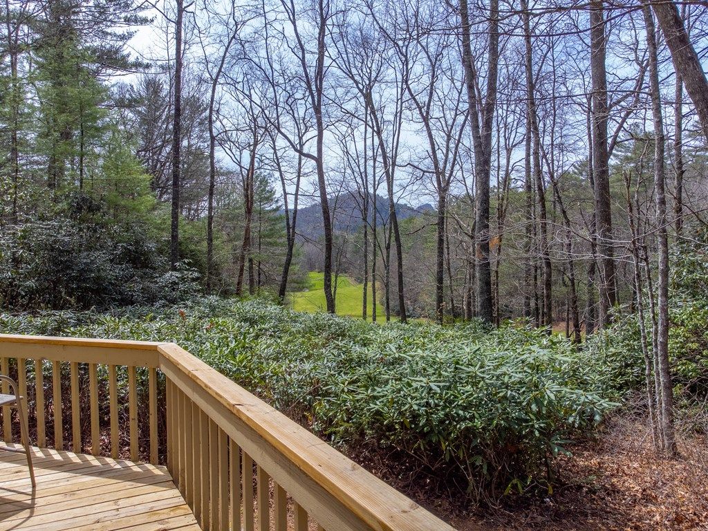 Photo of 120 Holly Forest Ct, Sapphire, NC 28774 (MLS # 26046875)