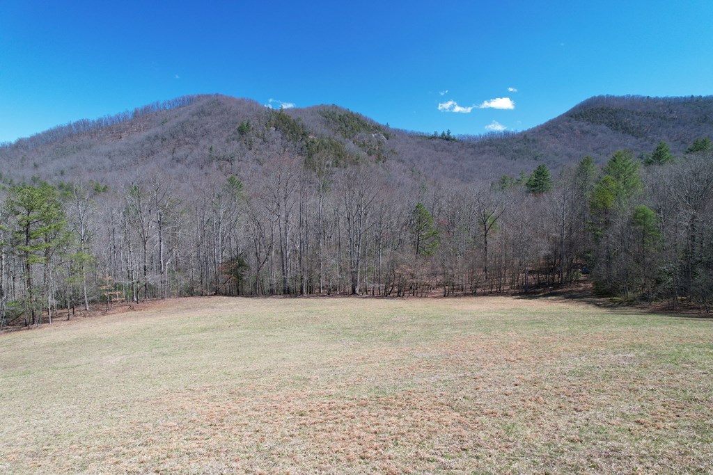 320 Dave Chastain Rd