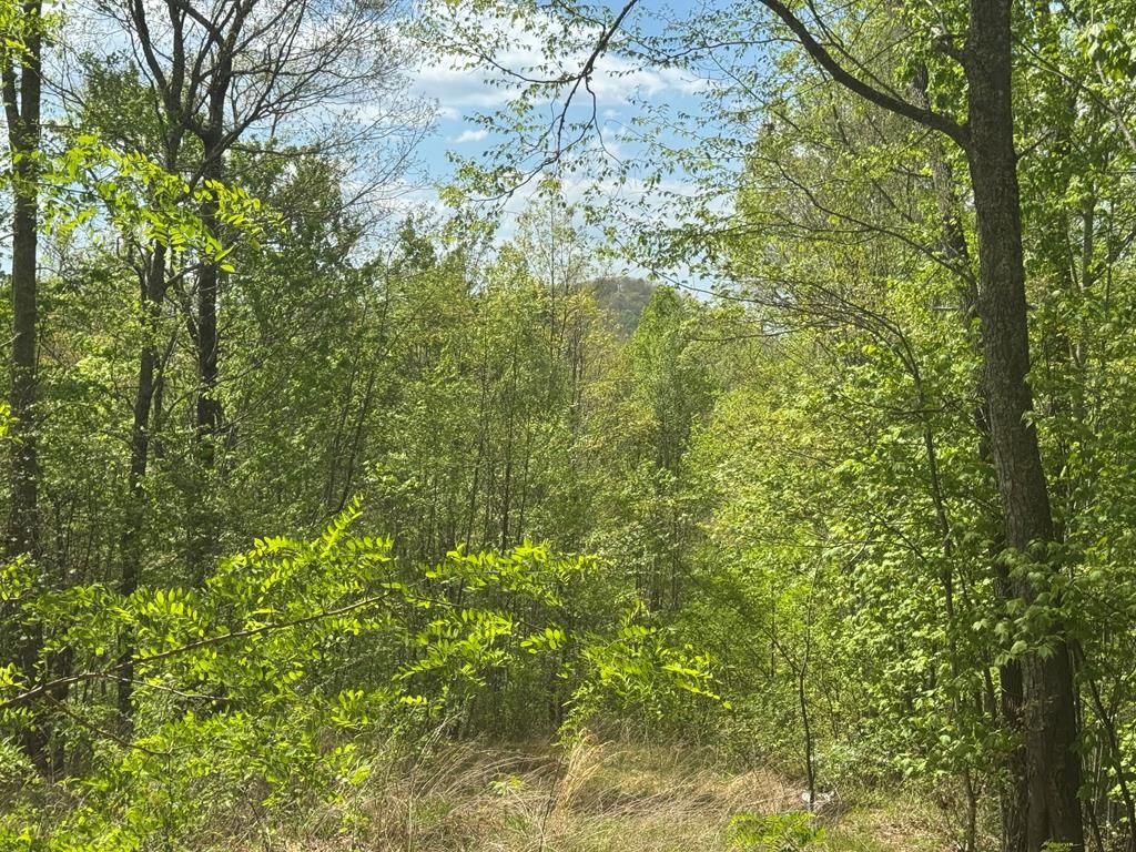 Photo of Lot 24 Falls View Drive, Bryson City, NC 28713 (MLS # 26047011)