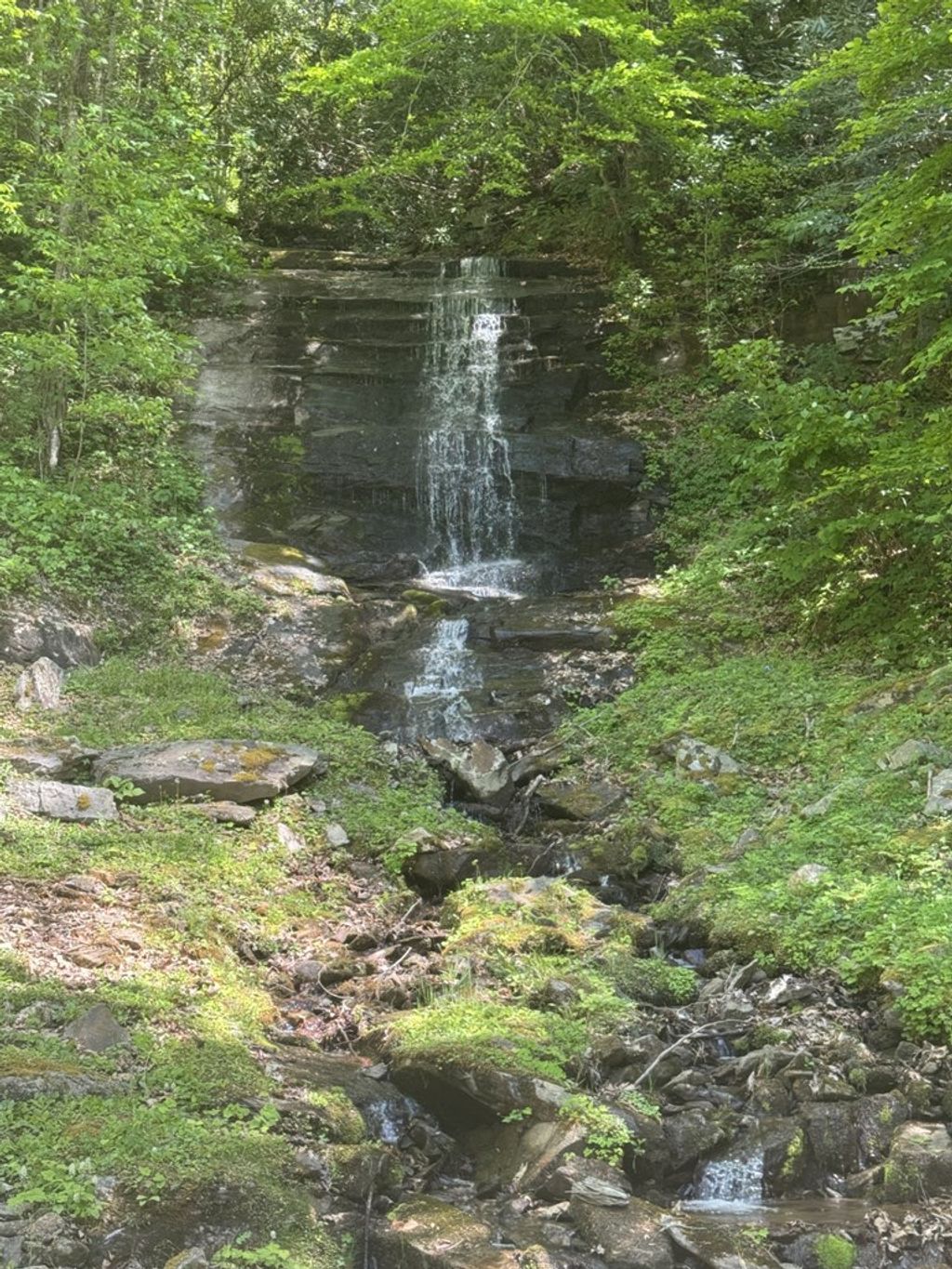 Photo of Lot 24 Falls View Drive, Bryson City, NC 28713 (MLS # 26047011)