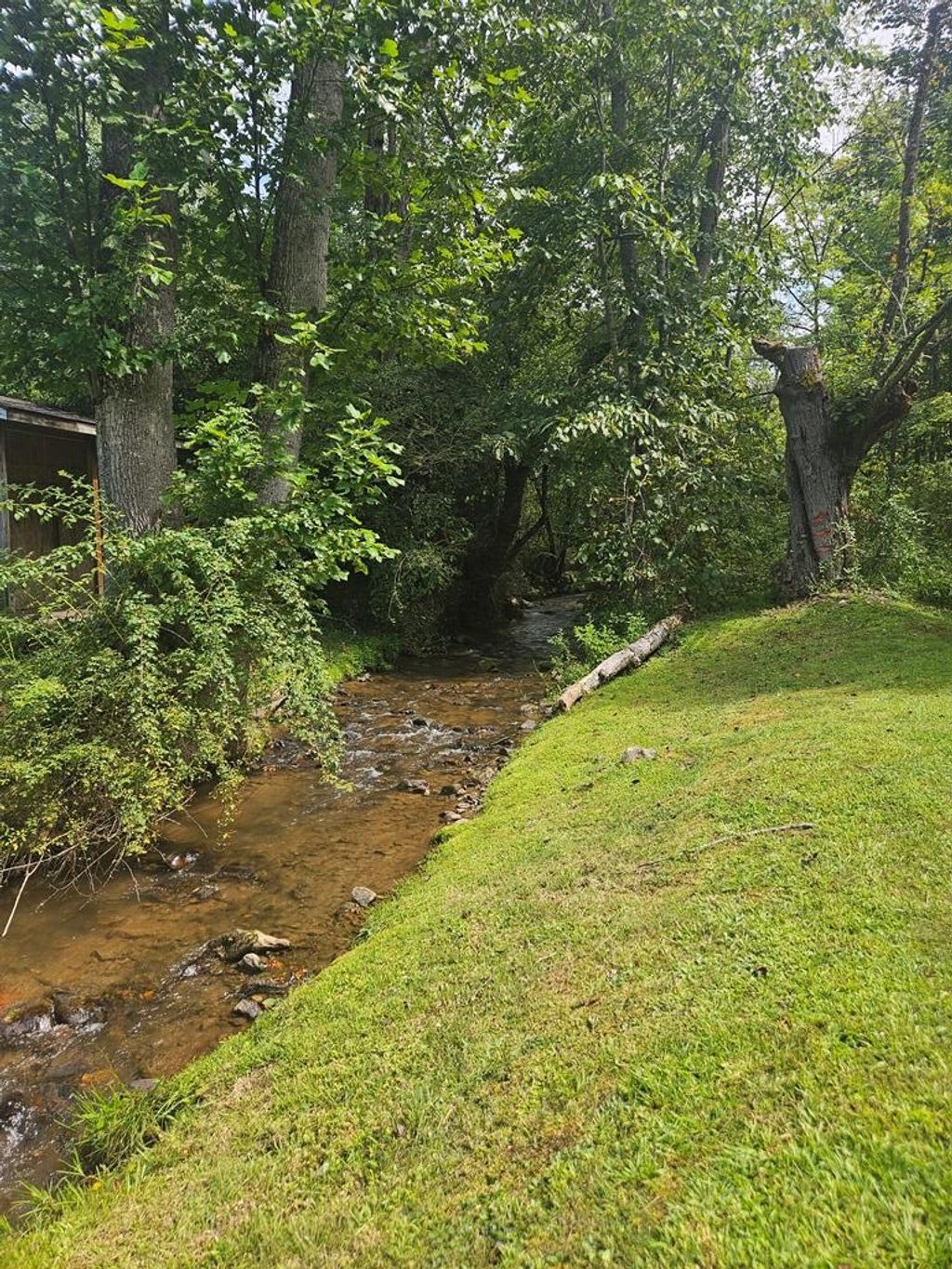 Photo of 24.74 AC East Fork Rd, Sylva, NC 28779 (MLS # 26042109)