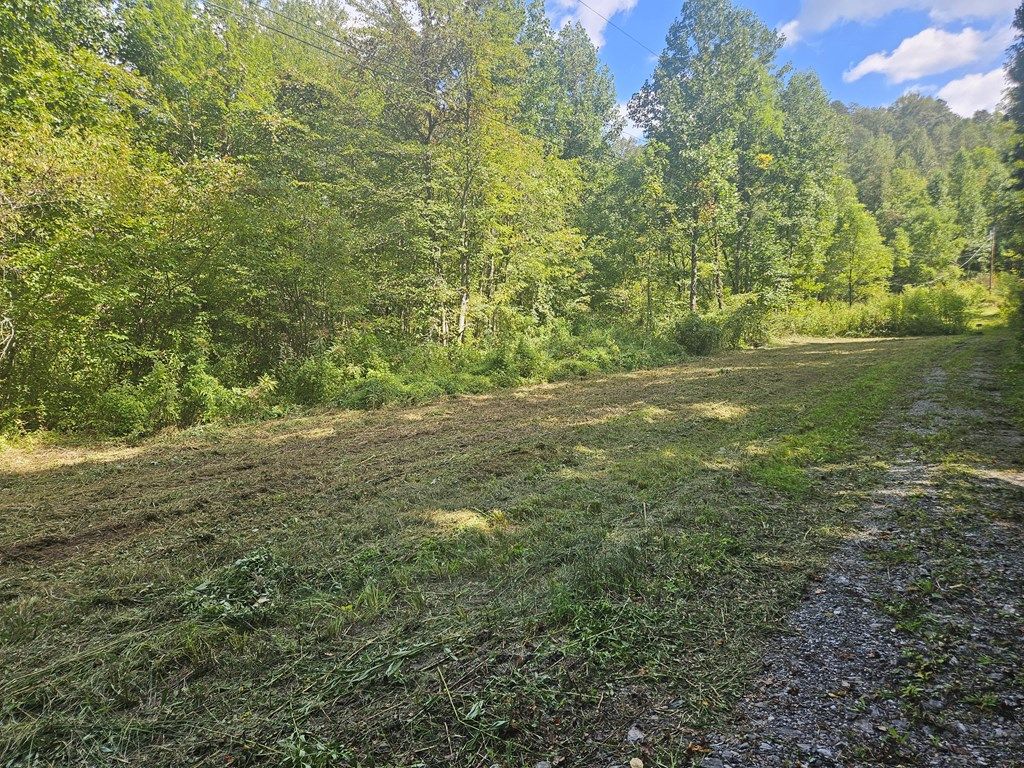 Photo of 24.74 AC East Fork Rd, Sylva, NC 28779 (MLS # 26042109)
