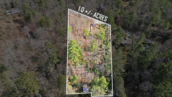 WEBBMONT RD, HIGHLANDS, NC 28741 - Image 09405697e1f6d5aa036e07adfa289619/1556826743