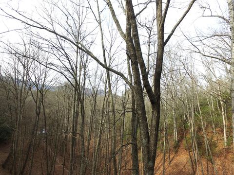 Photo of 00 Bonfire Dr, Franklin, NC 28734 (MLS # 26043095)